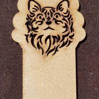 328487801 902269377860873 7484583472398688998 n