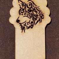 329446538 519872690248505 1936940696156507855 n