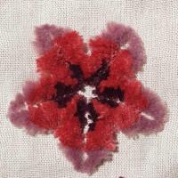 462539399 518824011104765 1145553721939436729 n